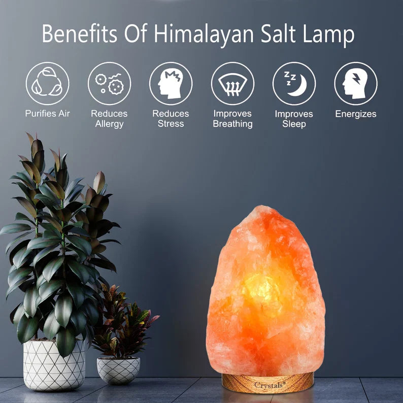 Himalayan Salt Lamp